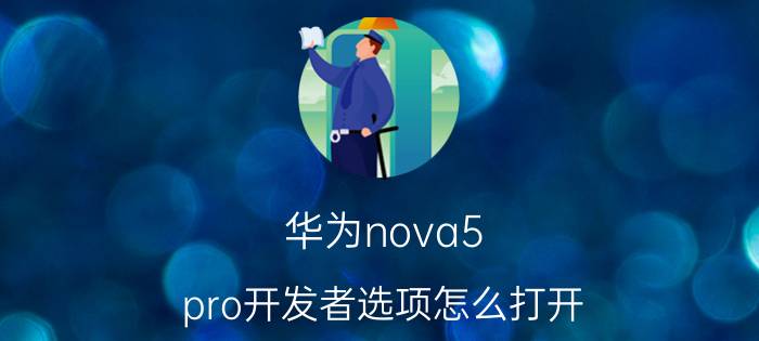 华为nova5 pro开发者选项怎么打开